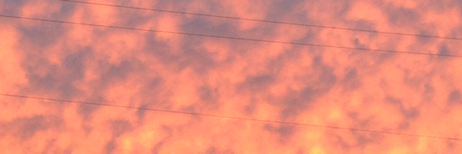 Cover image for post Without Pause, by pyrrhic