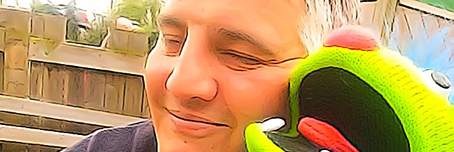 Cover image for post Old Friend, by Yowwa