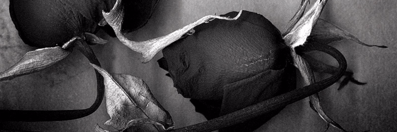 Cover image for post pieces, by sleepingheart