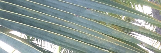 Cover image for post silence is a window to the soul, by unspecific