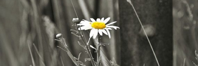 Cover image for post (A)lone(Ly), by PoeticJustice87