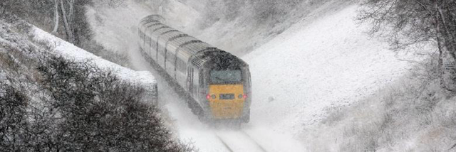 Cover image for post Christmas Card Rejected, by PDB