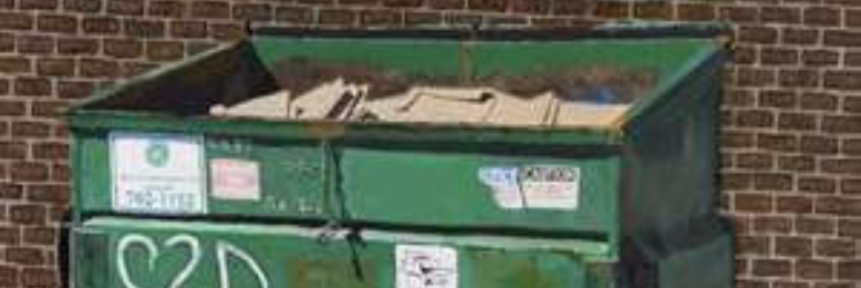 Cover image for post Emily, by Arlana