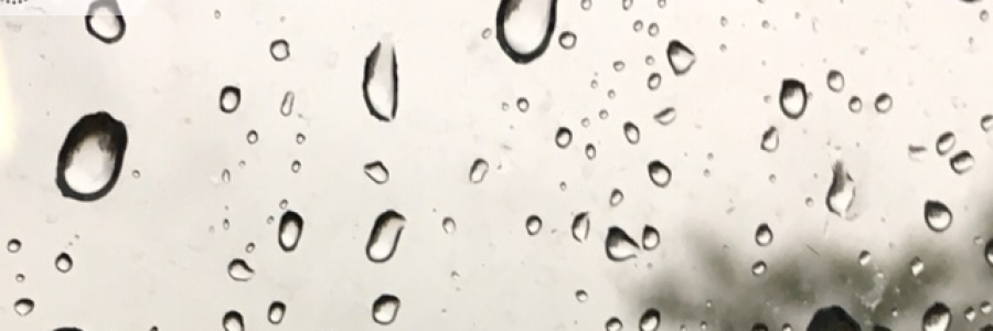 Cover image for post Grey, by paperadventure