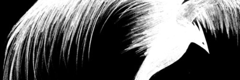 Cover image for post Phynics Forever Rising: Memoirs of the Woman in the Steel Mask (book just now complete), by ClarkCPhynics