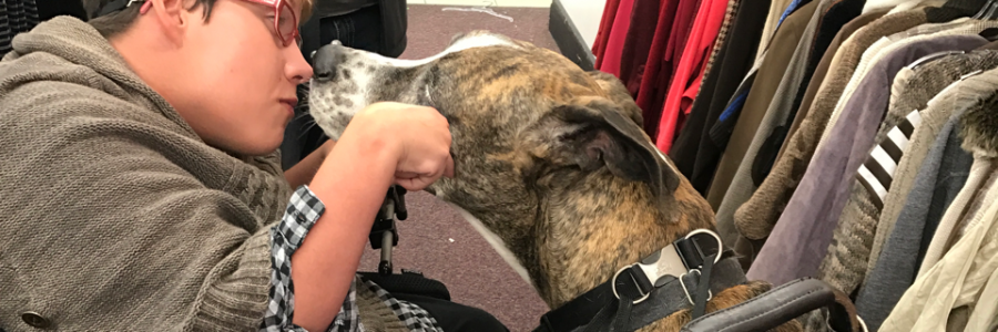 Cover image for post Intelligence defined, by Vyxyn