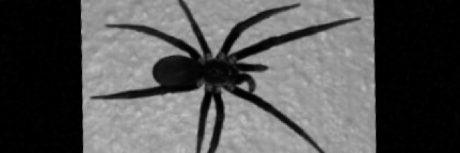 Cover image for post Mouthy Little Girls, by Passerby