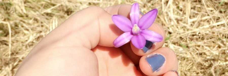 Cover image for post The simple life..., by Gretcy_Wichol