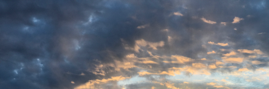 Cover image for post Thrive, by Autumnpath