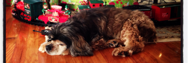 Cover image for post Levi, by myrisha