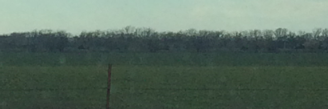 Cover image for post Guess?, by Rev_Frenchie