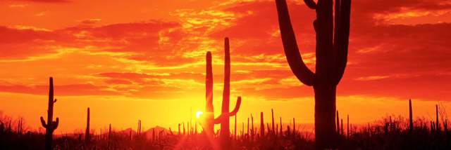 Cover image for post US of A, by Aleksarcher1