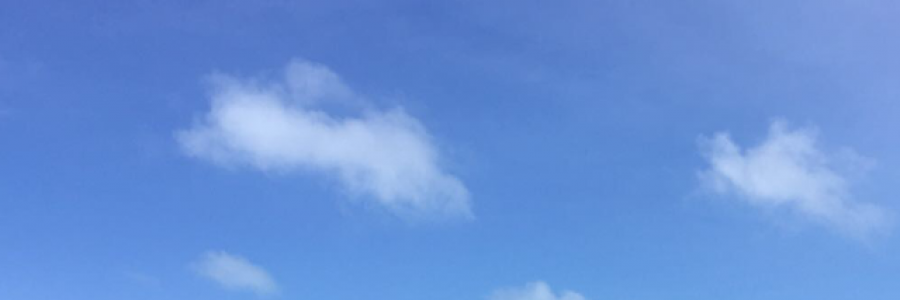 Cover image for post Anomaly, by Sawyer_Ross