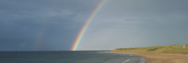 Cover image for post My Wish, by Burrfoot