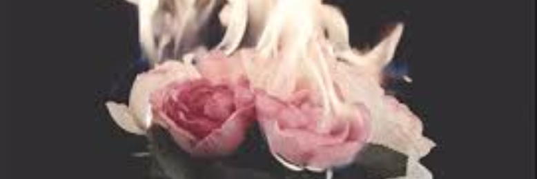 Cover image for post Gasoline roses, by Tyla