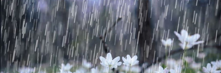 Cover image for post Endless Rain, by NorthernSiren