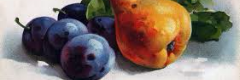 Cover image for post Fruit Fantasies, by sandflea68