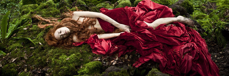 Cover image for post Fairy Tale of Love, by sandflea68