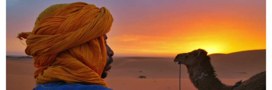 Cover image for post "Sunset in the Desert", by ThatRomeoTho