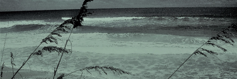 Cover image for post Left In My Wake, by sandflea68