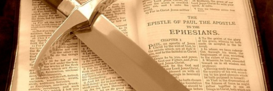 Cover image for post your sword, my lord, by leelee