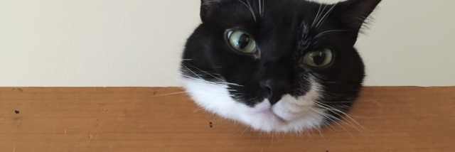 Cover image for post The Empress, by A