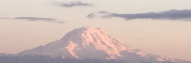 Cover image for post Snow, by C_dog_martin