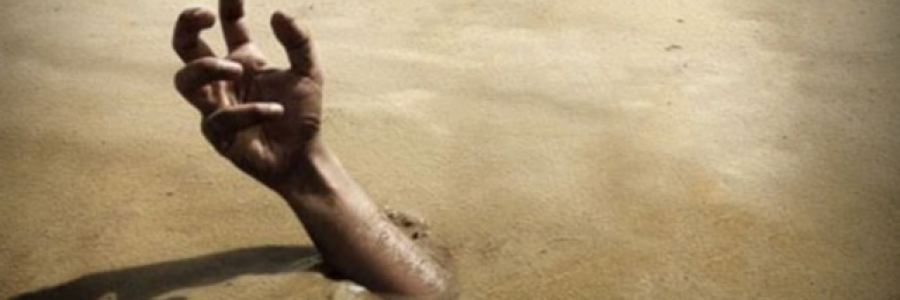 Cover image for post The True Top of the Food Chain, by AlSalehi