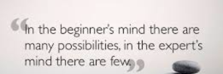 Cover image for post Beginning Again with Beginner's Mind, by NiiaFalls