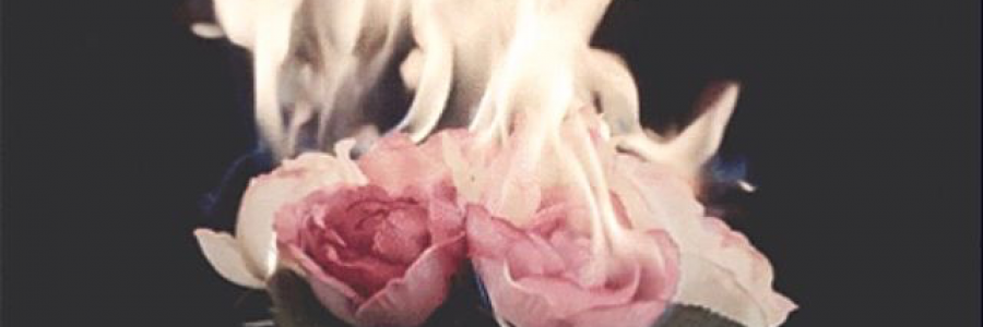 Cover image for post living with a fire in your body, by derision