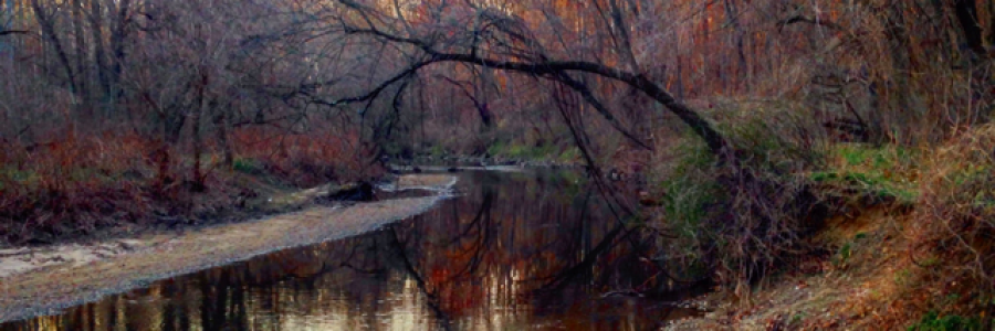 Cover image for post Nostalgia, by Quiksilvr