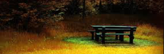 Cover image for post I wanted to go back to the spot where, by Tursar29