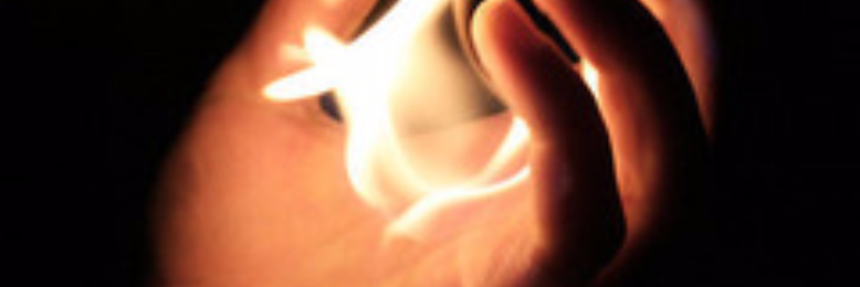 Cover image for post Cupped Hands, by sandflea68