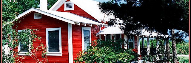 Cover image for post Promises, by Gracenote