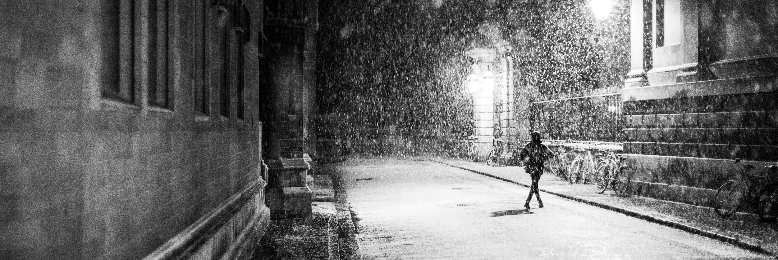 Cover image for post The Intruder Who Played Accordion, by Silvia_ODwyer