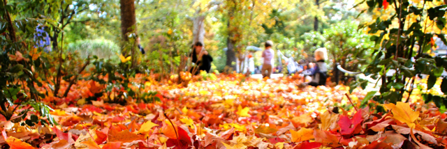 Cover image for post Today felt like Fall, by GlamRevolt