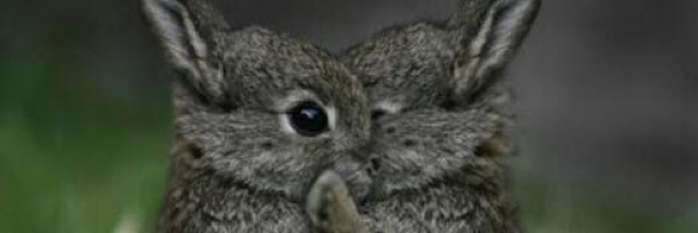 Cover image for post The destruction known as doubt, by lutherdixon