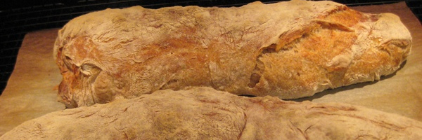 Cover image for post Ewe Must Love The Risk, by Schrieben_Wulf