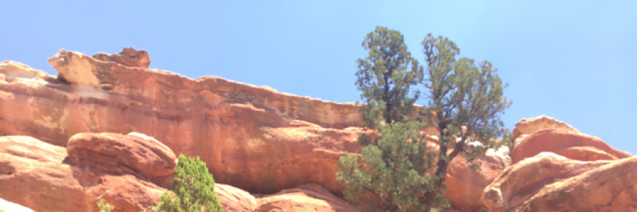 Cover image for post My friend, by ValerieKCHN