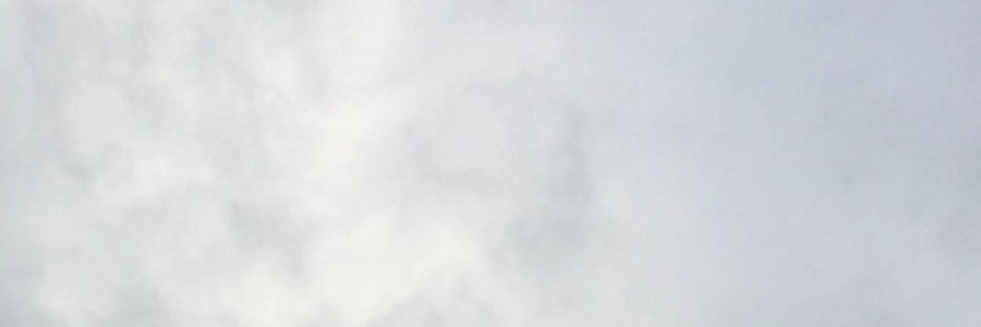 Cover image for post i'll always want you more, by seashelldreamer