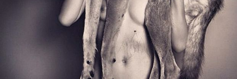 Cover image for post Alpha, by Mamba