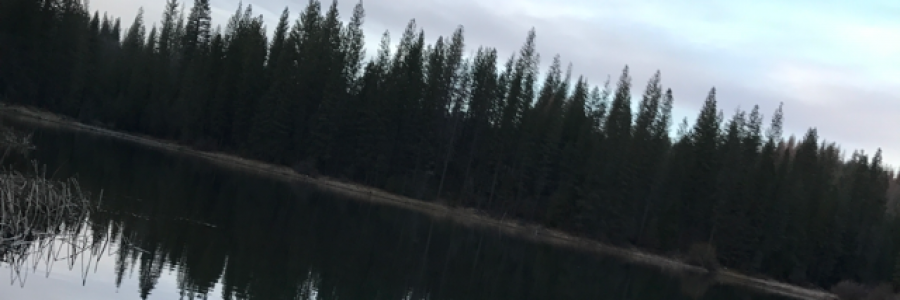 Cover image for post Remembrance, by Colton_Merrihew