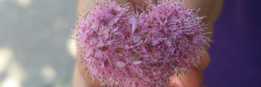 Cover image for post Is your heart like mine?, by ValerieKCHN