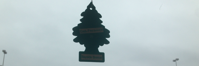 Cover image for post The scent of my car, by alenamazing