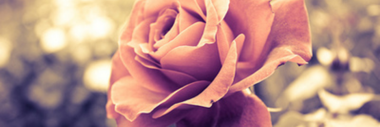 Cover image for post Art of inner Renaissance, by snowbutterfly