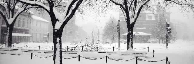 Cover image for post February, by Leftyguitarist9