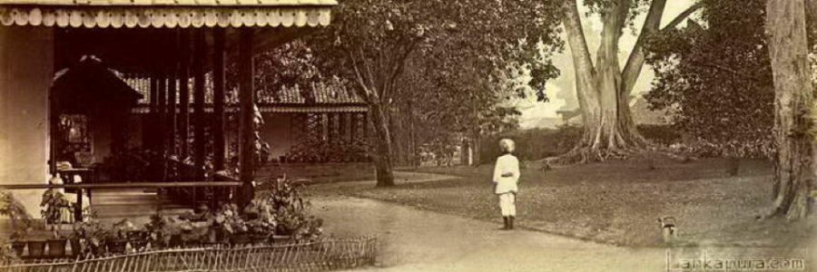 Cover image for post Estate for sale, by Vyxyn