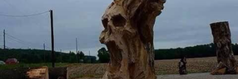 Cover image for post Willow tree, by Tyla