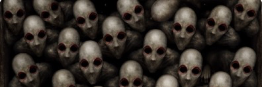 Cover image for post Follow Me!, by D23Novotny