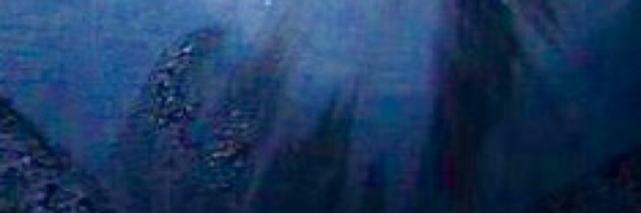 Cover image for post Retreat, by DMMosley